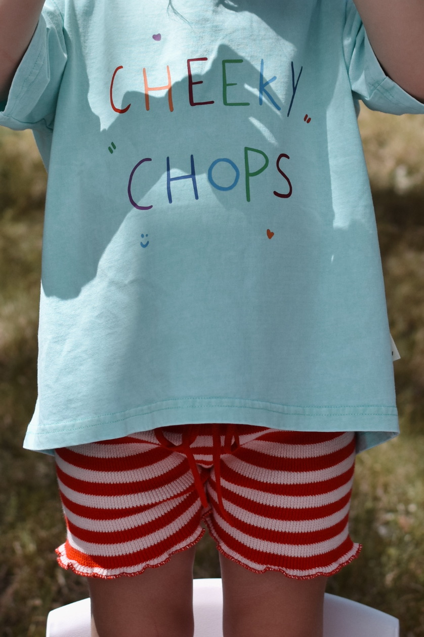 Stripe Shorts ✿ Berry